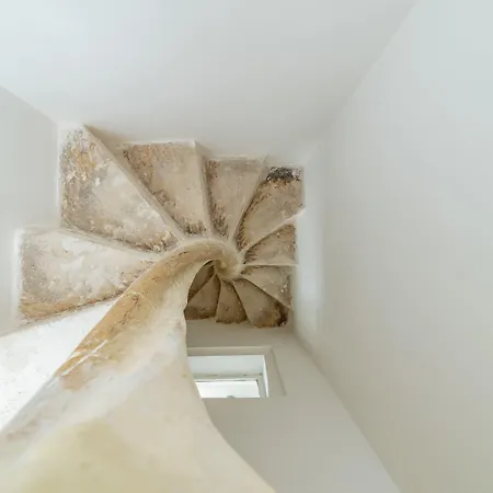 Carmelita * 瓦莱塔